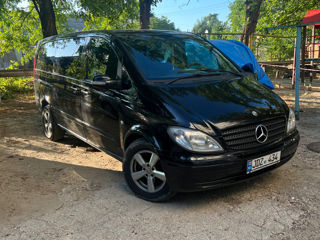 Mercedes Viano foto 2