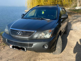 Lexus RX Series