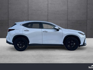 Lexus NX Series foto 2