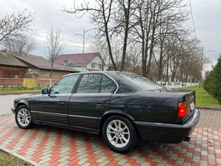 BMW 5 Series foto 10