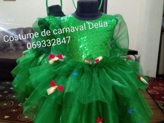 Costume de carnaval foto 8