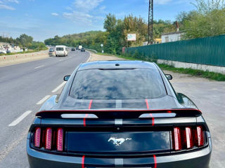 Ford Mustang foto 4