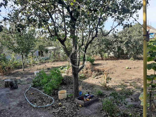 Se vinde casa cu 2 niveluri Cahul Valincea foto 10