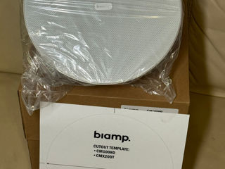 biamp