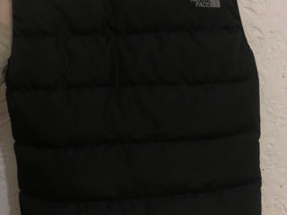 Vesta thenorthface foto 2