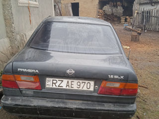 Nissan Primera foto 4