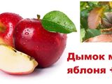 Щепа в ассортименте для копчения мясных продуктов, сыров и рыбы. foto 8