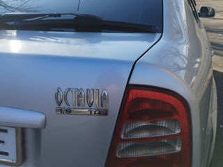 Skoda Octavia foto 5