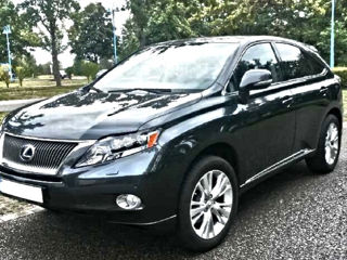 Lexus RX Series