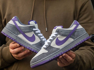 Nike Sb Dunk Low Purple Pigeon Unisex foto 2