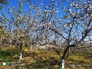 Продам дом Вадул-луй-Водэ в очень хорошем месте с хорошим видом. Кишиневская прописка. foto 5