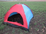 Палатки на 1, 2, 4, 6, 8 человека! foto 4