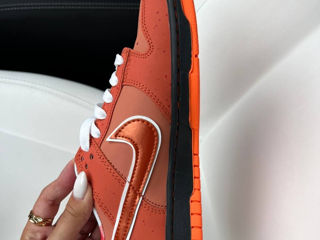 Nike SB Dunk Lobsters Orange Unisex 36-45 foto 9