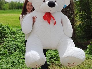 Ursuleți gigant 170 cm cu I Love You. Livrare gratuită în Chișinău. Rapid livrăm toată Moldova. foto 1