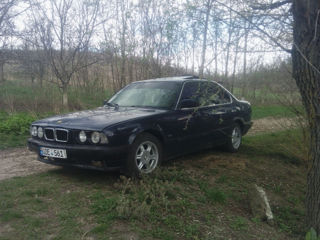 BMW 5 Series foto 1