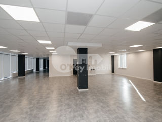 Oficiu openspace, euroreparație, Botanica, 5785 € ! foto 11