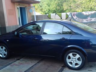 Nissan Primera foto 3