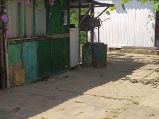 Urgent se vinde casă batrânească satul pârâta raionul dubăsari foto 10