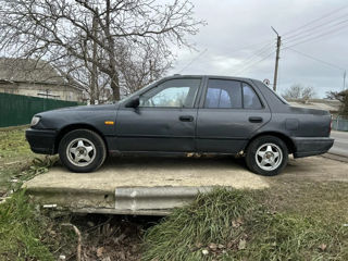 Nissan Sunny foto 3