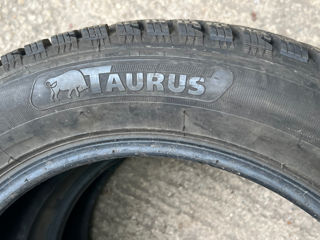Продам 2 шины 225/55 R17 Taurus Snow (Michelin Group) фото 7