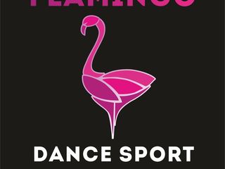 Индивидуальные уроки по танцам. Lectiile particulare . Scoala de dans Flamingo foto 7