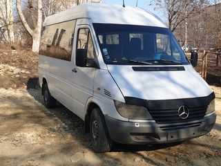 Mercedes 313 foto 5