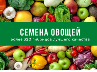 Seminte profesionale de legume pentru cultivarea in sereПрофессиональные семена овощей Rijk Zwaan foto 2