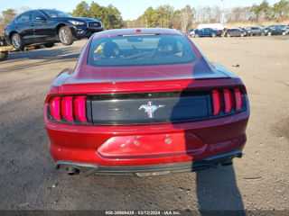 Ford Mustang foto 6