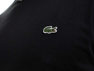 Tricou Lacoste foto 2