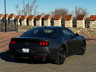 Ford Mustang foto 7