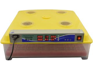 ИнкубаторMS-63с автоматическим переворотом яиц/p/u 63 oua rata/gisca/gaina/252 oua de prepelita/2499 foto 2