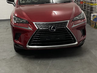 Lexus NX 3000 2021 foto 1