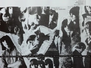 Jefferson Airplane – Surrealistic Pillow (Vinyl, LP) foto 2