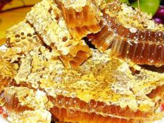 Натуральный мед недорого - урожай 2018г! Мёд от производителя! foto 2