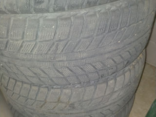 Belshina 205/55 R 16 foto 2