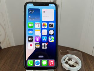 iPhone 11 Ideal