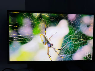 Игровой монитор Asus MG278Q 2K 27’ 144hz фото 0