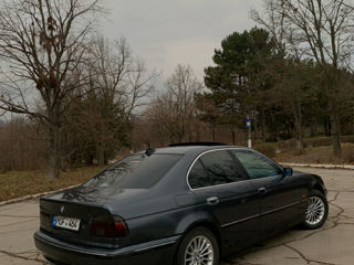 BMW 5 Series foto 6