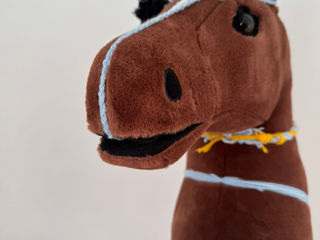 Hobby Horse -cadou perfect pentru copii foto 3