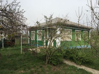 Дом с. Пеления, Дрокиевский р-н foto 1