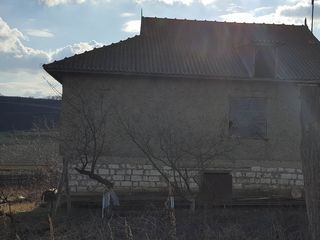 Urgent se vinde casa la tara in Borceag foto 2