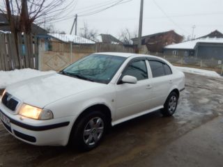 Skoda Octavia foto 6