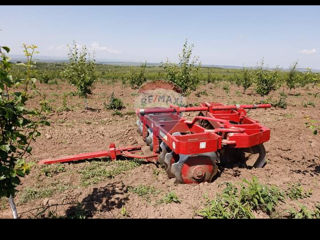 Vînd 24 h.livadă de prun + uscătorie de fructe. фото 2