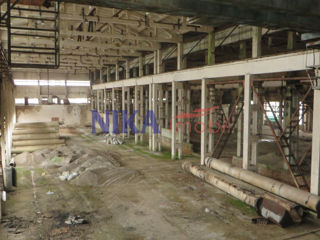 Производственно-складской комплекс, Бельцы foto 9