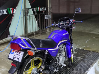 Wolf Motors 125cc foto 3