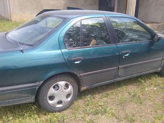 Nissan Primera foto 2