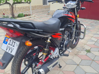 Viper 250 foto 3