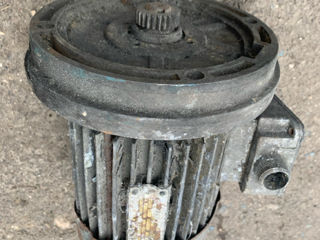 Motor electric 220/380V foto 4