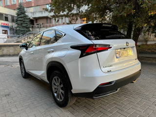 Lexus NX Series foto 4