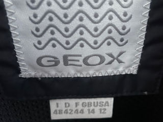 GEOX foto 4